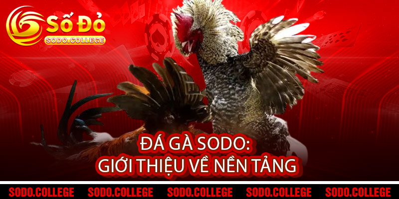 Đá Gà Sodo - Đẳng Cấp Chiến Binh, Thắng Lợi Vinh Quang 1 Đá Gà Sodo: Giới thiệu về nền tảng