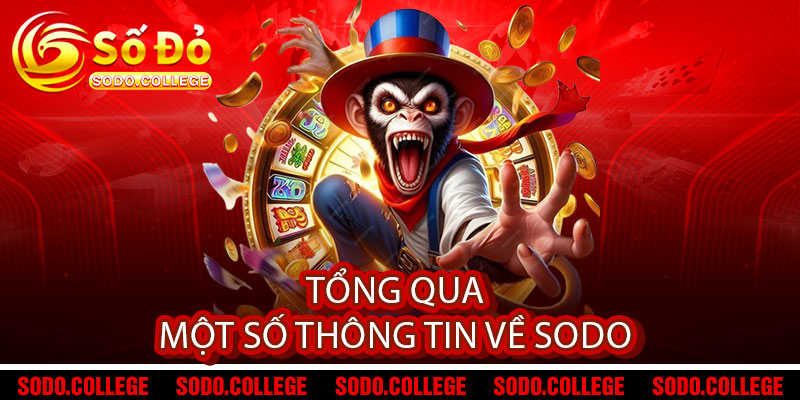 Tổng qua một số thông tin về Sodo 