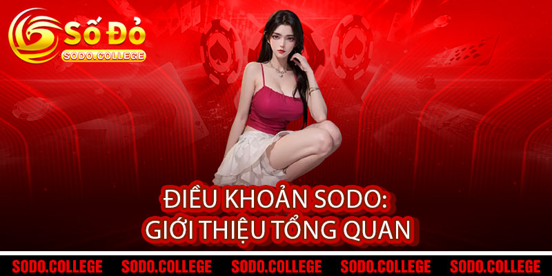 Điều khoản Sodo - Minh bạch, an tâm, hợp tác trọn vẹn 1 Điều khoản Sodo: Giới thiệu tổng quan