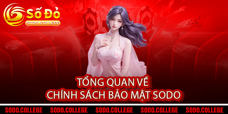 Chính Sách Bảo Mật Sodo - Bảo vệ dữ liệu, vẹn nguyên niềm tin 1 Tổng Quan Về Chính Sách Bảo Mật Sodo