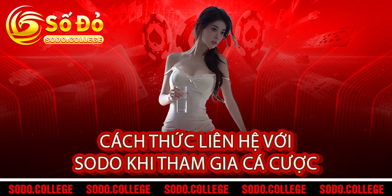 Liên Hệ Sodo - Đồng hành tin cậy, phát triển bứt phá 2 Cách thức liên hệ với Sodo khi tham gia cá cược