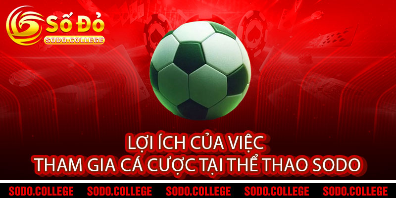 Lợi Ích Của Việc Tham Gia Cá Cược Tại Thể Thao Sodo