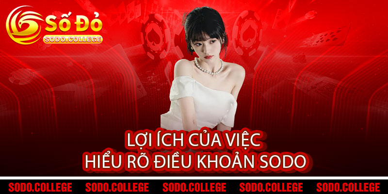 Điều khoản Sodo - Minh bạch, an tâm, hợp tác trọn vẹn 2 Lợi ích của việc hiểu rõ điều khoản Sodo