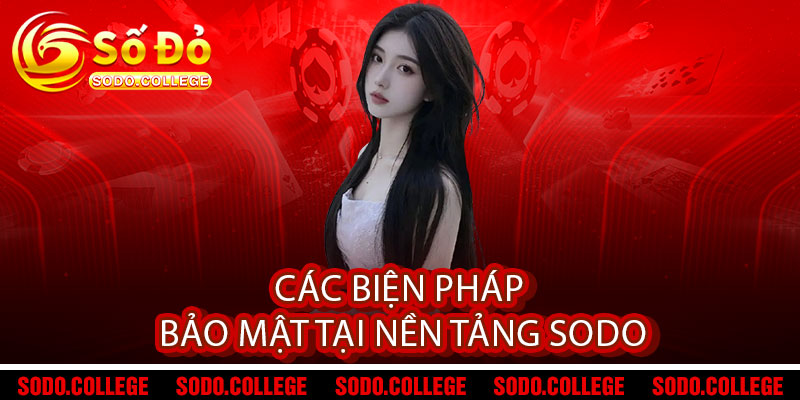 Chính Sách Bảo Mật Sodo - Bảo vệ dữ liệu, vẹn nguyên niềm tin 2 Các Biện Pháp Bảo Mật Tại Nền Tảng Sodo