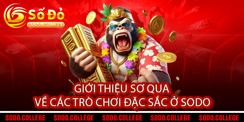 Giới thiệu sơ qua về các trò chơi đặc sắc ở Sodo