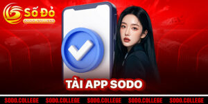 Ta╠ei App SODO